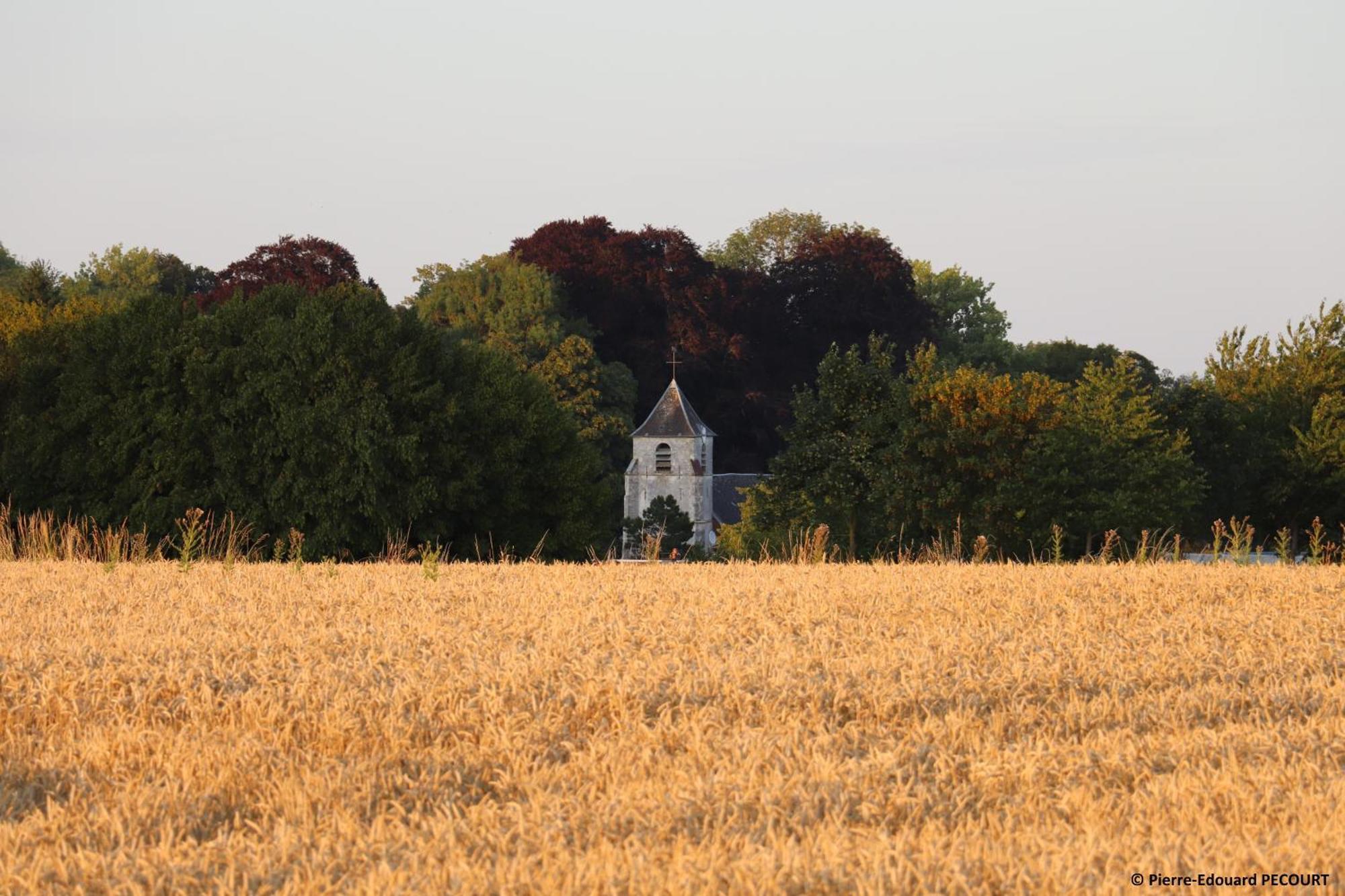 La Grange Aux Tommies - Pays Du Coquelicot Bus-les-Artois